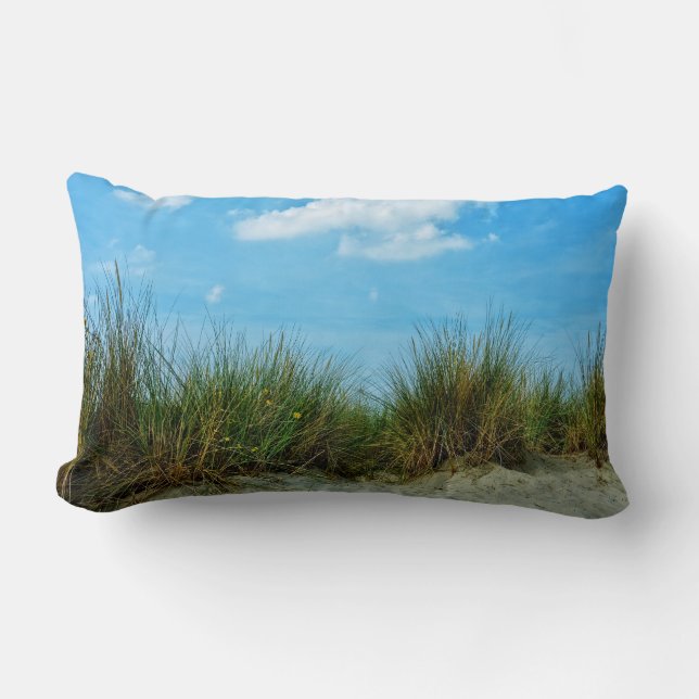 Coussin Rectangle Strandhafer in den Dünen (Recto)