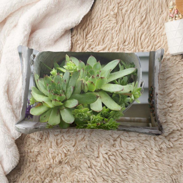 Coussin Rectangle Succulentes Poules Et Poussins Dans Un Seau   (Couverture)