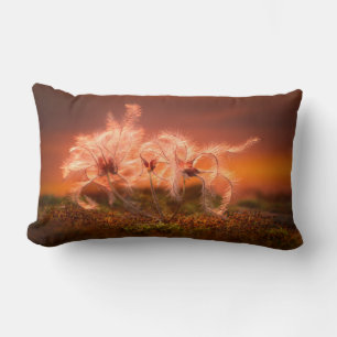 Coussin Rectangle Sunset Macro Nature Scene of Moss and Plant