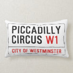 Coussin Rectangle Symbole Piccadilly Circus<br><div class="desc"></div>