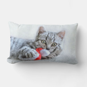 Coussin Rectangle Tabby gris mou Chat avec Noël Casquette
