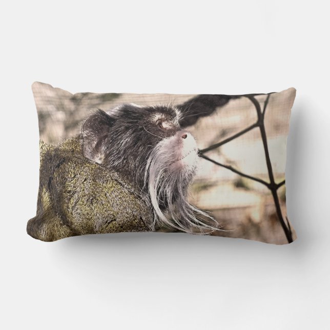 COUSSIN RECTANGLE TAMARIN MONKEY JETER PILLOW (Recto)