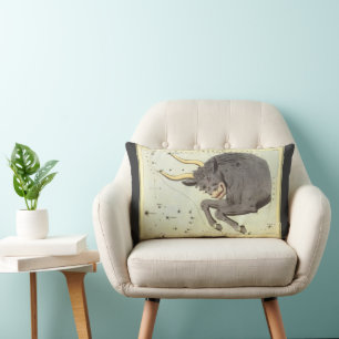 Coussin Rectangle Taurus Bull, le miroir Vintage de la constellation