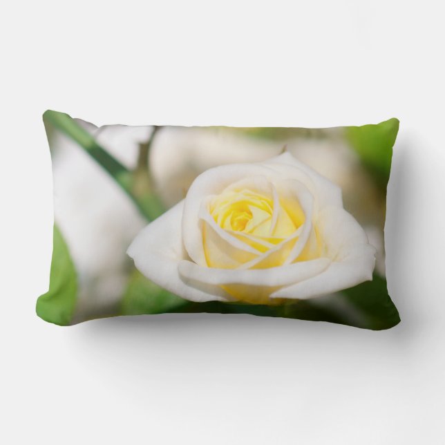 Coussin Rectangle Tea rose (Recto)