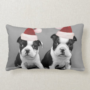 Coussin Rectangle Terriers de Boston de Noël