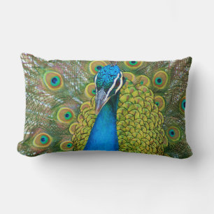 Coussin Rectangle Tête bleue Peacock avec et des plumes de queue col