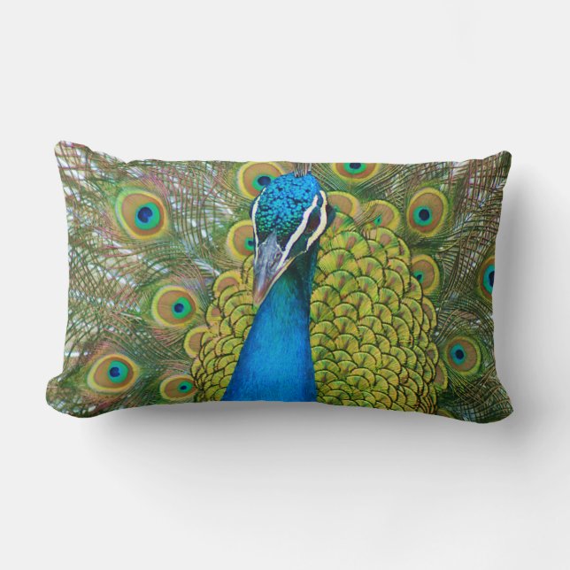Coussin Rectangle Tête bleue Peacock avec et des plumes de queue col (Recto)