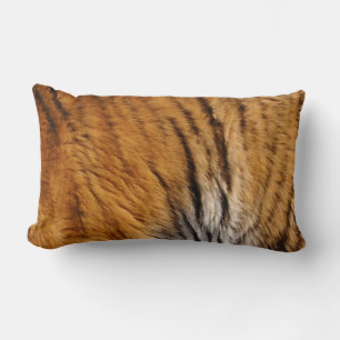 Coussin Rectangle Tiger Fourrure Faune Big Chat Photo-échantillon