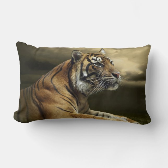 Coussin Rectangle Tigre regardant et se reposant sous le ciel (Recto)