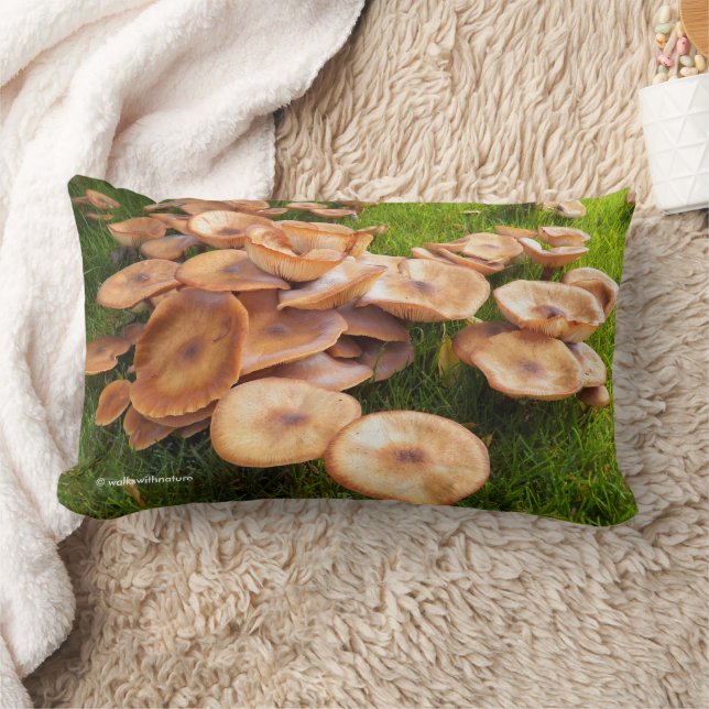 Coussin Rectangle Tombée d'automne des colonies de champignons sur l (Couverture)