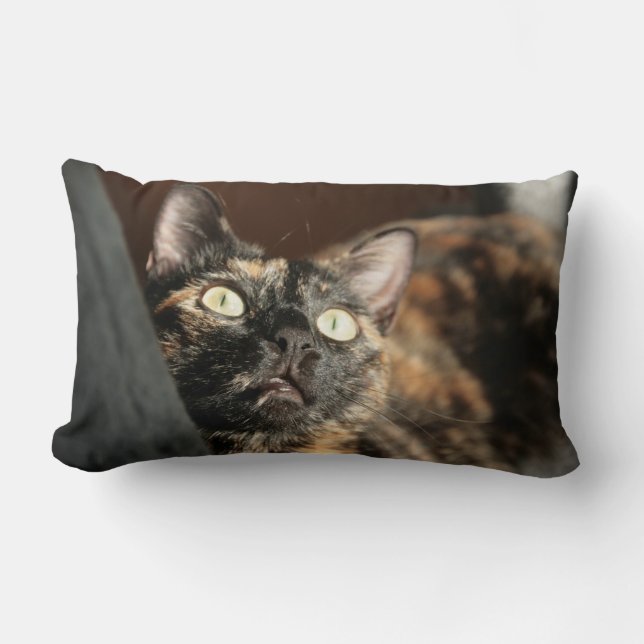 Coussin Rectangle torti (Recto)