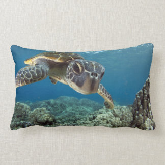 Coussin Rectangle Tortue de mer verte hawaïenne