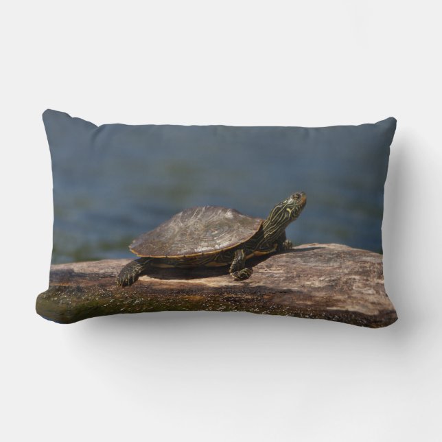 Coussin Rectangle Tortue peinte sur un bûcher (Recto)