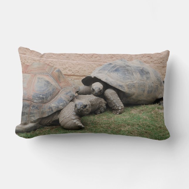 Coussin Rectangle tortues géantes (Recto)