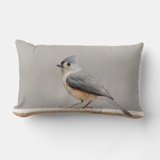 Coussin Rectangle Touffé (Recto)