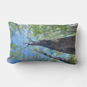 Coussin Rectangle Toujours regarder vers le haut ciel d'automne et f