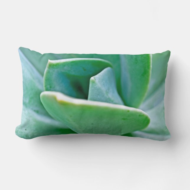 Coussin Rectangle Tourbillon Succulent (Recto)