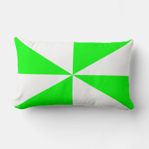 Coussin Rectangle Tourbillon vert citron et blanc