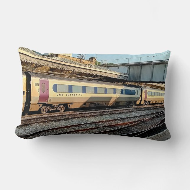 Coussin Rectangle Train marron et beige (Recto)
