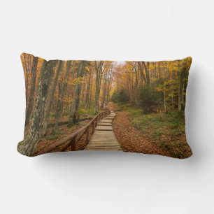 Coussin Rectangle Traverser la forêt d'automne.