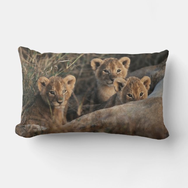 Coussin Rectangle Trio de lionceaux avec leur mère (Recto)
