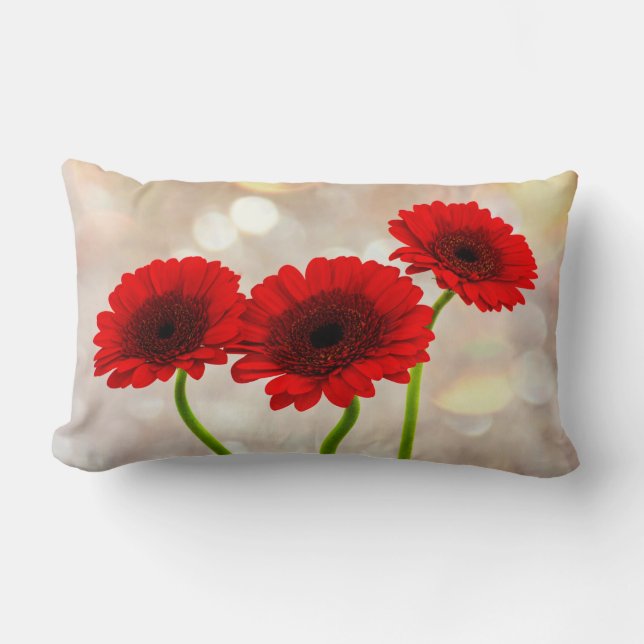 Coussin Rectangle Trois petites Gerberas rouges (Recto)