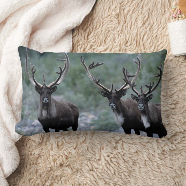 Coussin Rectangle Troupeau de Wapitis | Mt. Baring, Washington (Couverture)