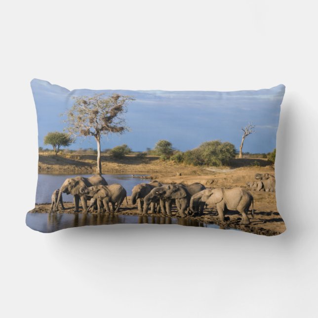 Coussin Rectangle Troupeau d'Éléphants de Savane d'Afrique (Loxodont (Recto)