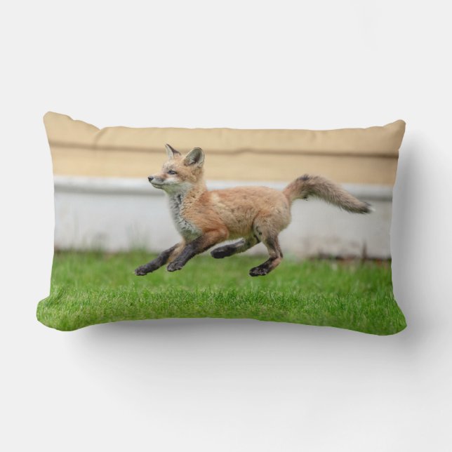 Coussin Rectangle Trousse Red Fox dans la vallée de l'Hudson (Recto)