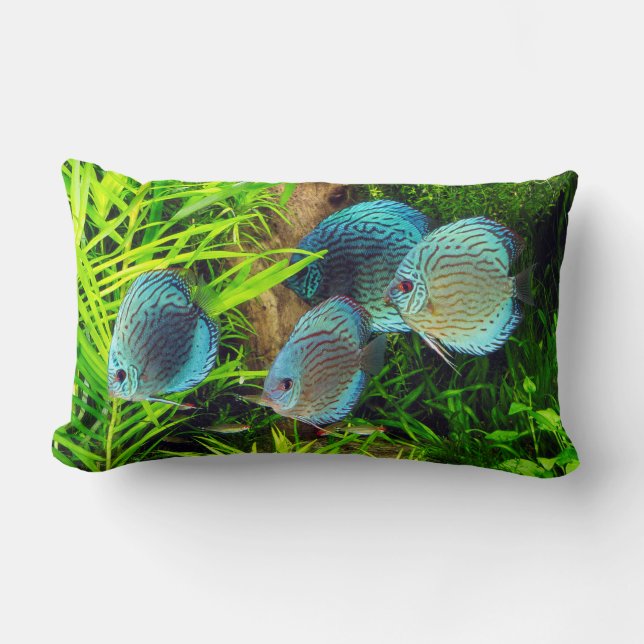 Coussin Rectangle Turquoise Blue Discus (Recto)