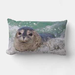 Coussin Rectangle Un bébé phoque surfant