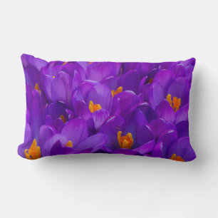 Coussin Rectangle Un champ de crocus violets