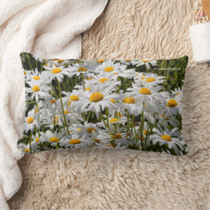 Coussin Rectangle Un champ de marguerites oculaires