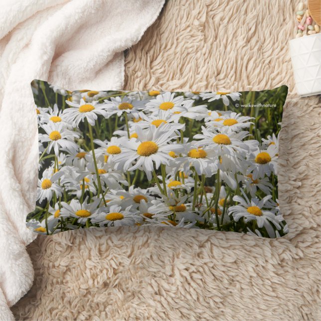 Coussin Rectangle Un champ de marguerites oculaires (Couverture)