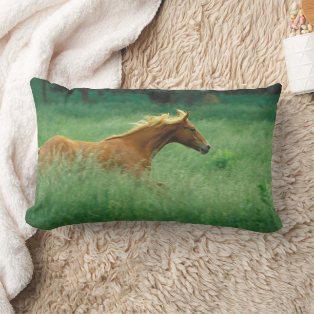 Coussin Rectangle Un Jeune Stallion Traverse Le Milieu (Couverture)