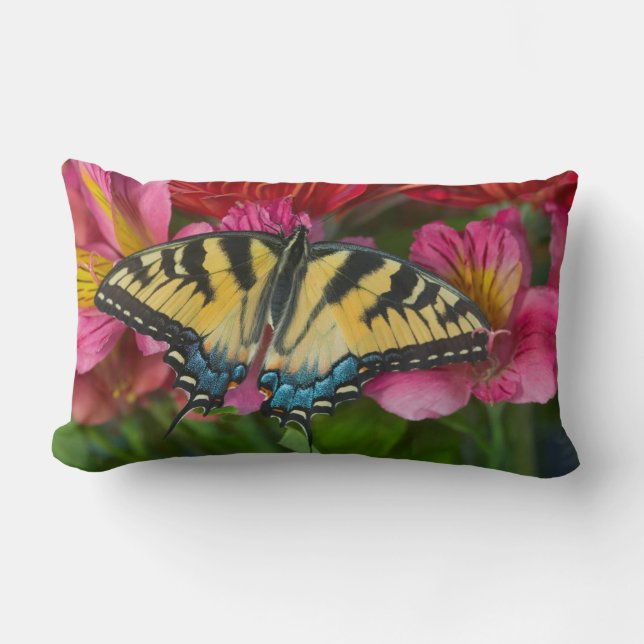 Coussin Rectangle Un papillon swallowtail tigre (Recto)