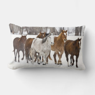 Coussin Rectangle Un paysage hivernal de course