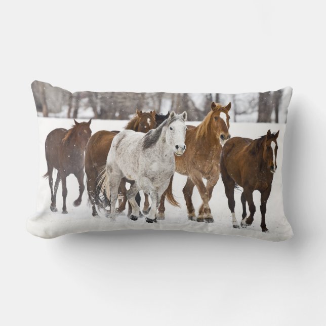 Coussin Rectangle Un paysage hivernal de course (Recto)