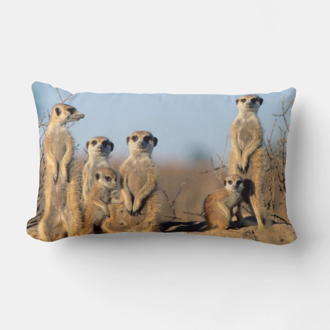 Coussin Rectangle Une famille de suricates se chauffant au soleil à  (Recto)