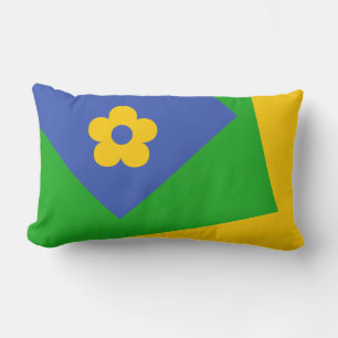 Coussin Rectangle Uniquement Arrière - plan couleur - bleu vert + vo