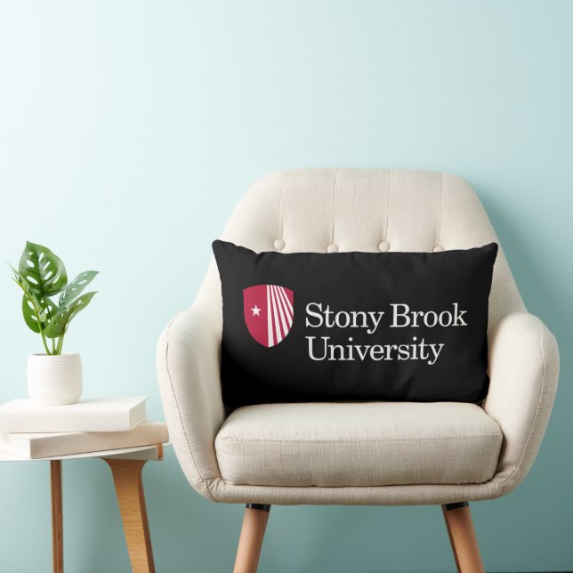 Coussin Rectangle Université Stony Brook | Mot-symbole (Chaise)