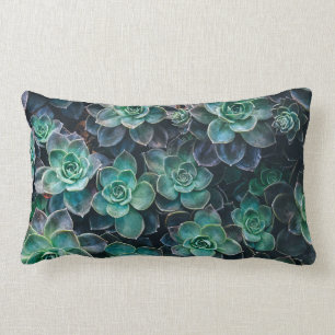 Coussin Rectangle Usines succulentes vert-bleu de détente de cactus