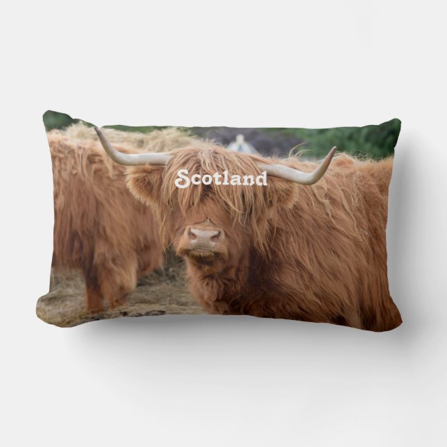 Coussin Rectangle Vache des montagnes (Recto)