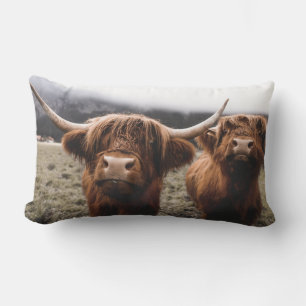 Coussin Rectangle Vaches des Highlands amusantes