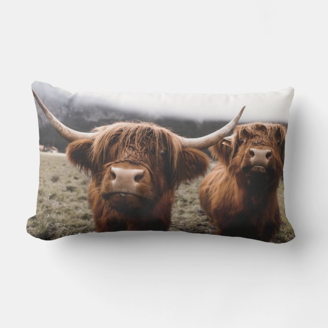 Coussin Rectangle Vaches des Highlands amusantes (Recto)