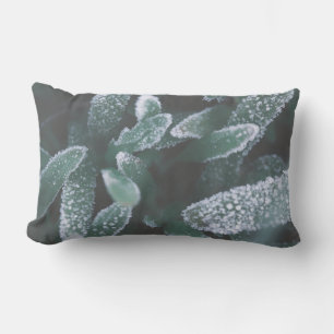 Coussin Rectangle Vert Feuille Plante Grass Frost Frost