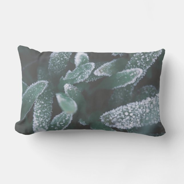 Coussin Rectangle Vert Feuille Plante Grass Frost Frost (Recto)