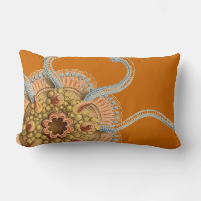 Coussin Rectangle Vie marine de cru de Haeckel (Recto)