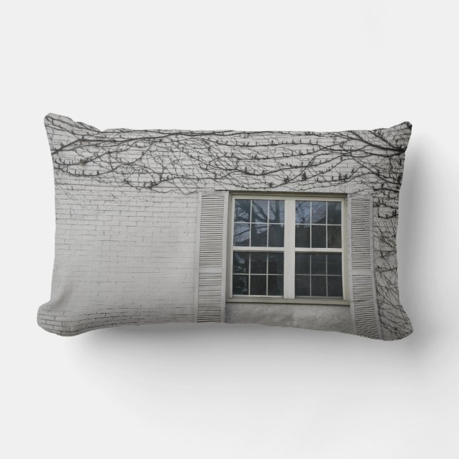Coussin Rectangle Vigne entourant la fenêtre (Recto)