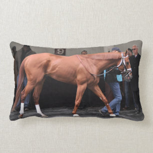 Coussin Rectangle Vin Rosso - Todd Pletcher